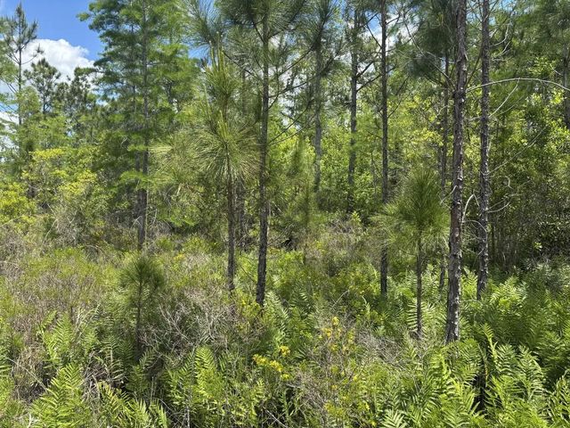 3 of 4 - 0 Holopaw Groves Road, St. Cloud, FL
