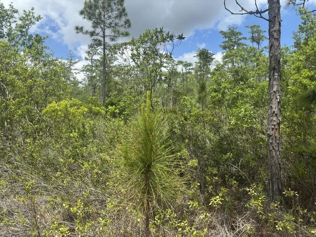 2 of 3 - 0 Holopaw Groves Road, St. Cloud, FL