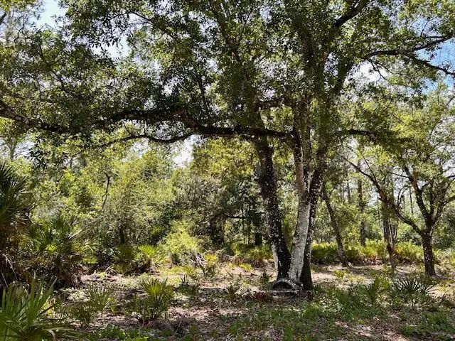 1116 Belmonte Drive, Indian Lake Estates