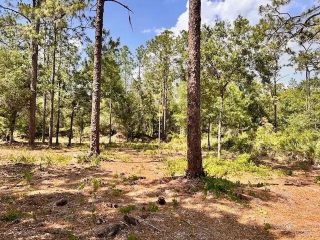 2 of 7 - 1116 Belmonte Drive, Indian Lake Estates, FL