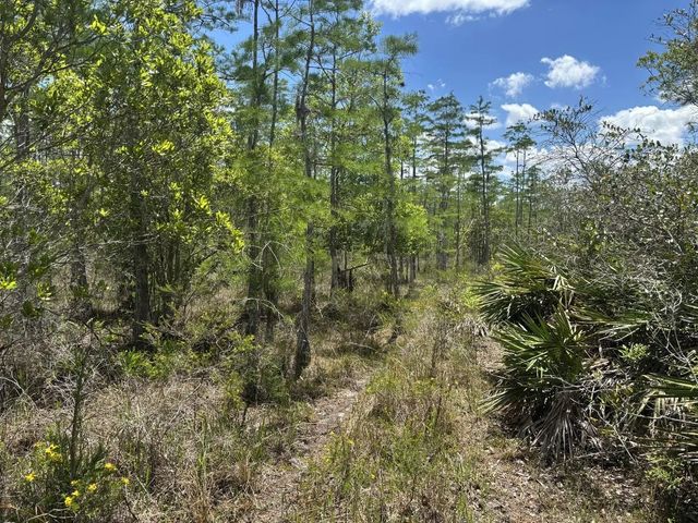2 of 4 - 0 Holopaw Groves Road, St. Cloud, FL