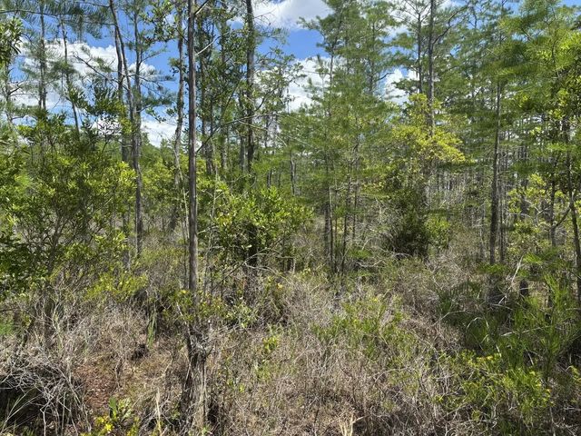3 of 4 - 0 Holopaw Groves Road, St. Cloud, FL