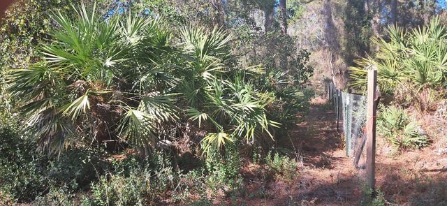 4 of 5 - 120 Gardenia Avenue, Georgetown, FL