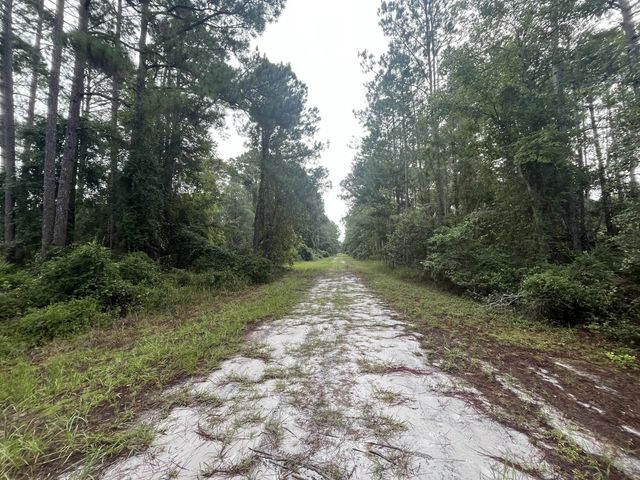 5 of 5 - 120 Gardenia Avenue, Georgetown, FL