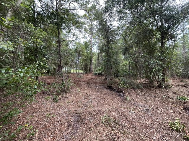 2 of 9 - 122 Glenside Street, Georgetown, FL