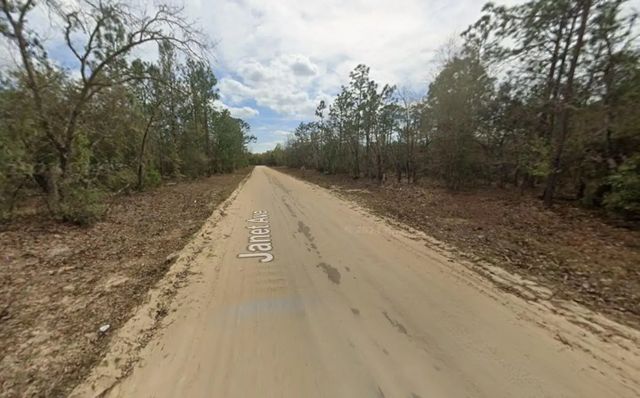 2 of 3 - Lot 28 Janet Avenue, Interlachen, FL