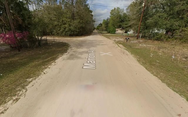 2 of 3 - Tbd Marion Avenue, Interlachen, FL