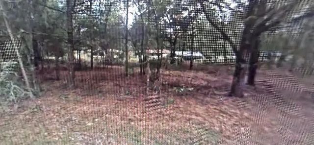 3 of 7 - 3397 E Alex Place, Inverness, FL