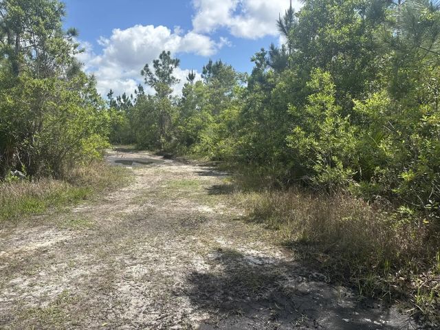 2 of 3 - 0 Holopaw Groves Road, St. Cloud, FL