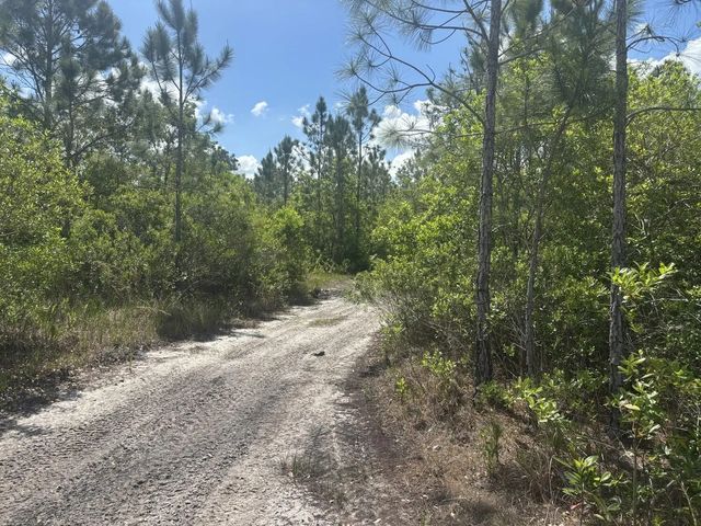 2 of 3 - 0 Holopaw Groves Road, St. Cloud, FL