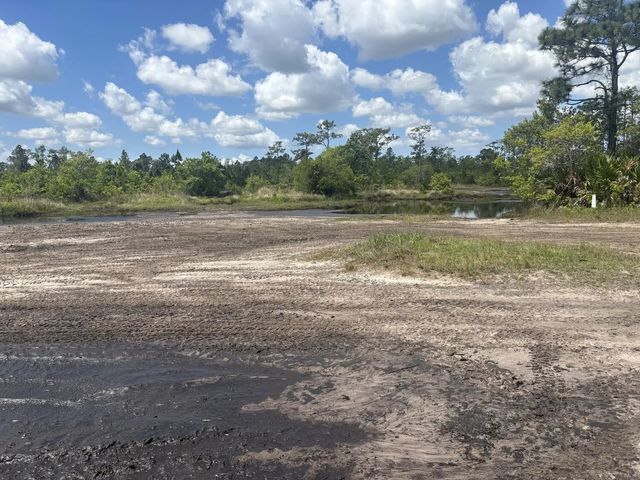 0 Holopaw Groves Road, St. Cloud