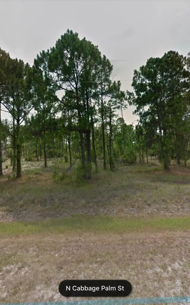 3 of 9 - 470 N Cabbage Palm Street, Clewiston, FL