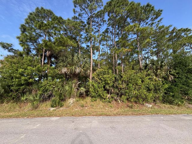 556 Ne Burlington Ave Avenue Ne, Palm Bay