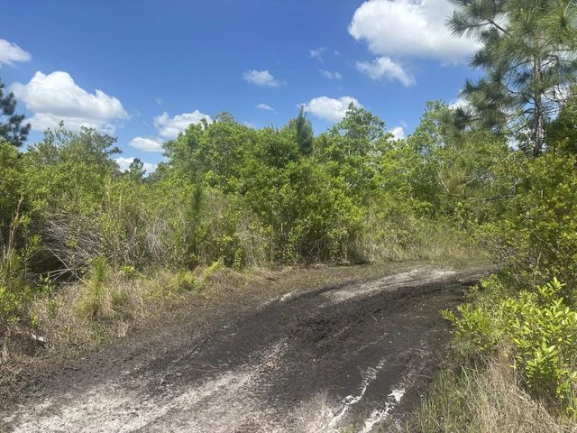 2 of 3 - 0 Holopaw Groves Road, St. Cloud, FL