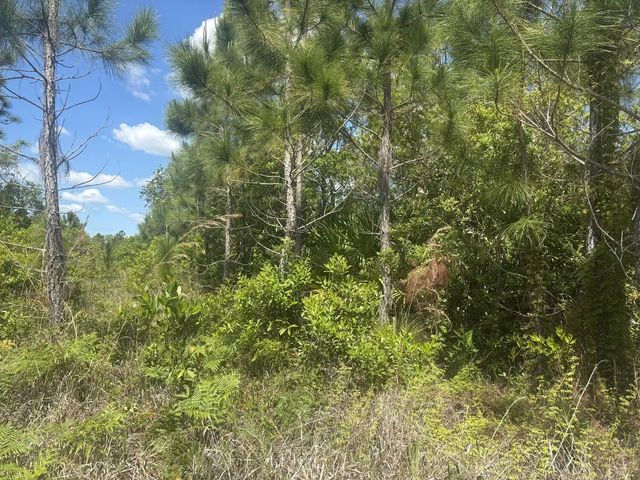 2 of 3 - 0 Holopaw Groves Road, St. Cloud, FL
