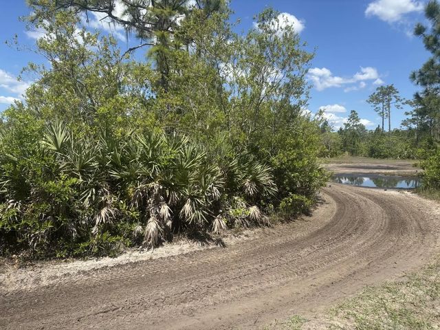 2 of 3 - 0 Holopaw Groves Road, St. Cloud, FL