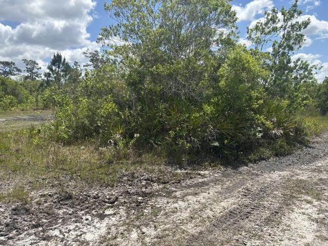 2 of 3 - 0 Holopaw Groves Road, St. Cloud, FL