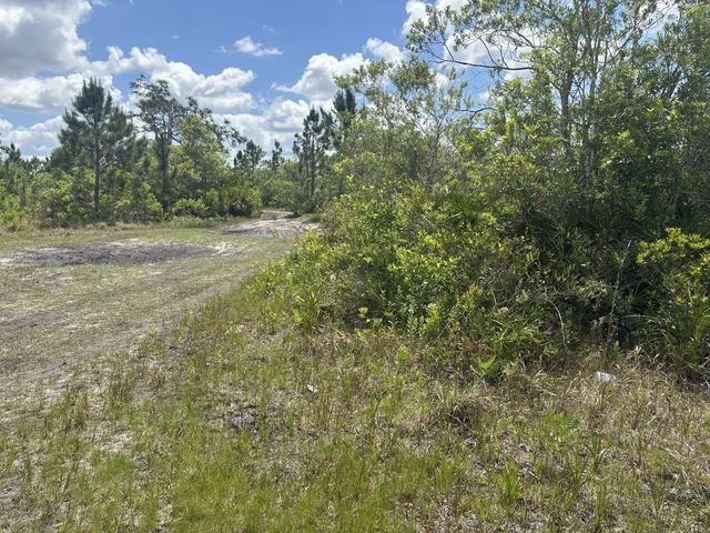 3 of 3 - 0 Holopaw Groves Road, St. Cloud, FL