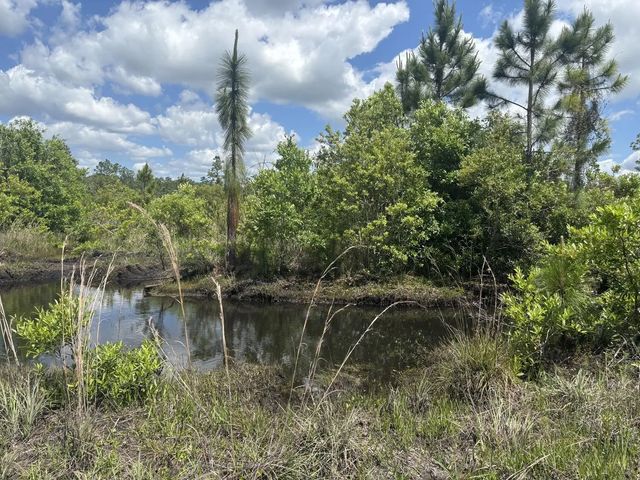 2 of 3 - 0 Holopaw Groves Road, St. Cloud, FL