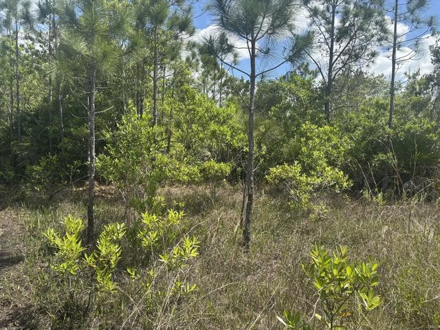 2 of 3 - 0 Holopaw Groves Road, St. Cloud, FL