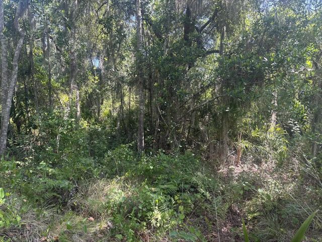 2 of 4 - 536 Bright Hill Avenue, Lake Placid, FL