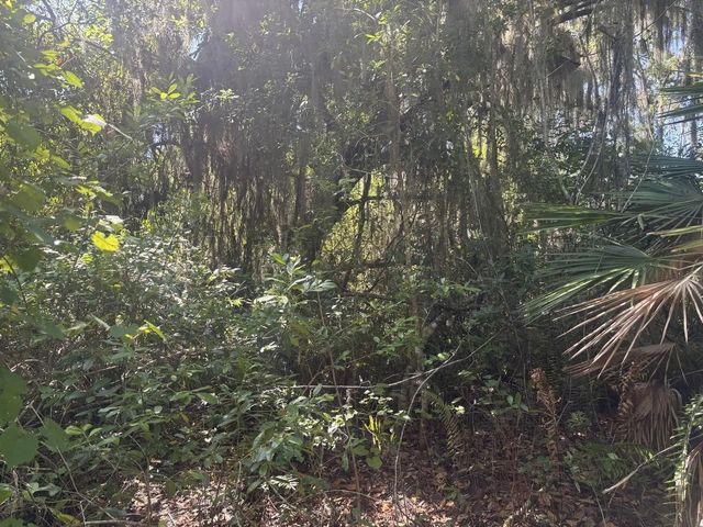 3 of 4 - 536 Bright Hill Avenue, Lake Placid, FL