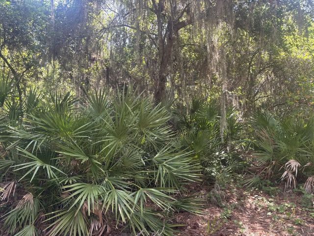 2 of 5 - 536 Bright Hill Avenue, Lake Placid, FL