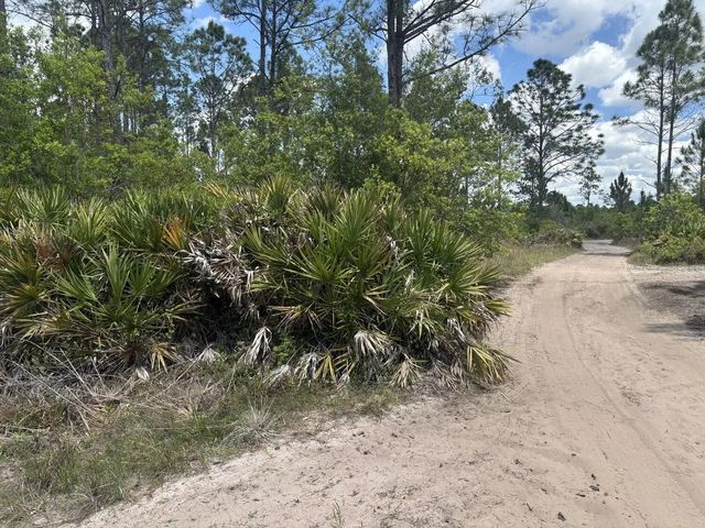 2 of 3 - 0 Holopaw Groves Road, St. Cloud, FL