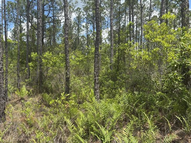 2 of 3 - 0 Holopaw Groves Road, St. Cloud, FL