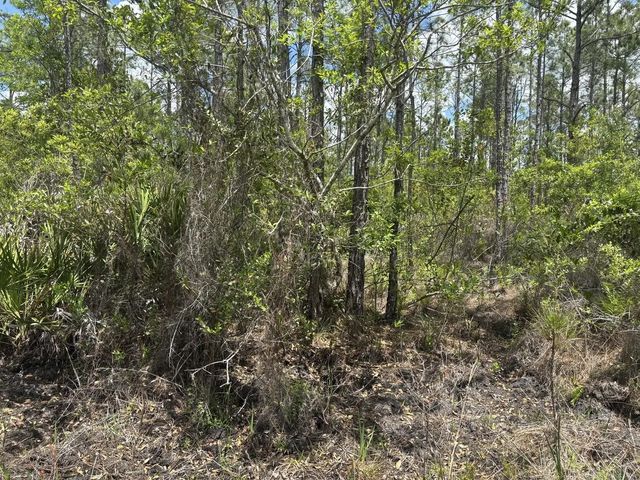 2 of 3 - 0 Holopaw Groves Road, St. Cloud, FL