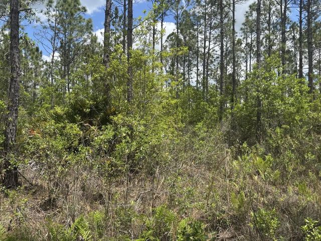 2 of 3 - 0 Holopaw Groves Road, St. Cloud, FL