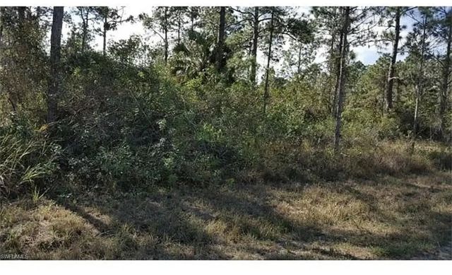1042 Summa Boulevard, Lehigh Acres
