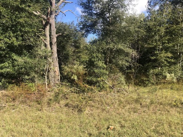 0 Dawn Avenue, Interlachen