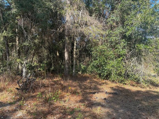 7178 W Wildfire Lane, Homosassa