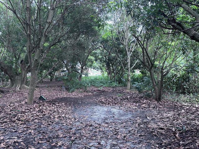5 of 14 - 0000 Nw 7th Court, Boynton Beach, FL
