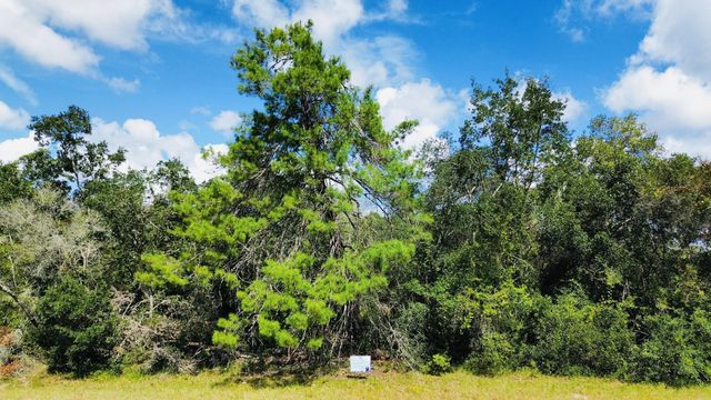 2 of 6 - Tbd Sw 37th Circle, Ocala, FL