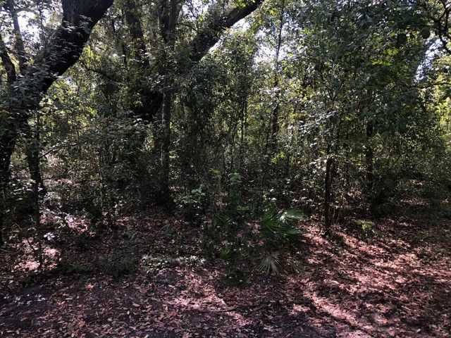 0 Co Rd 54, Kathleen