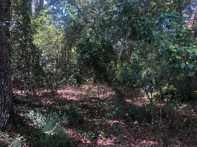 3 of 4 - 0 Co Rd 54, Kathleen, FL
