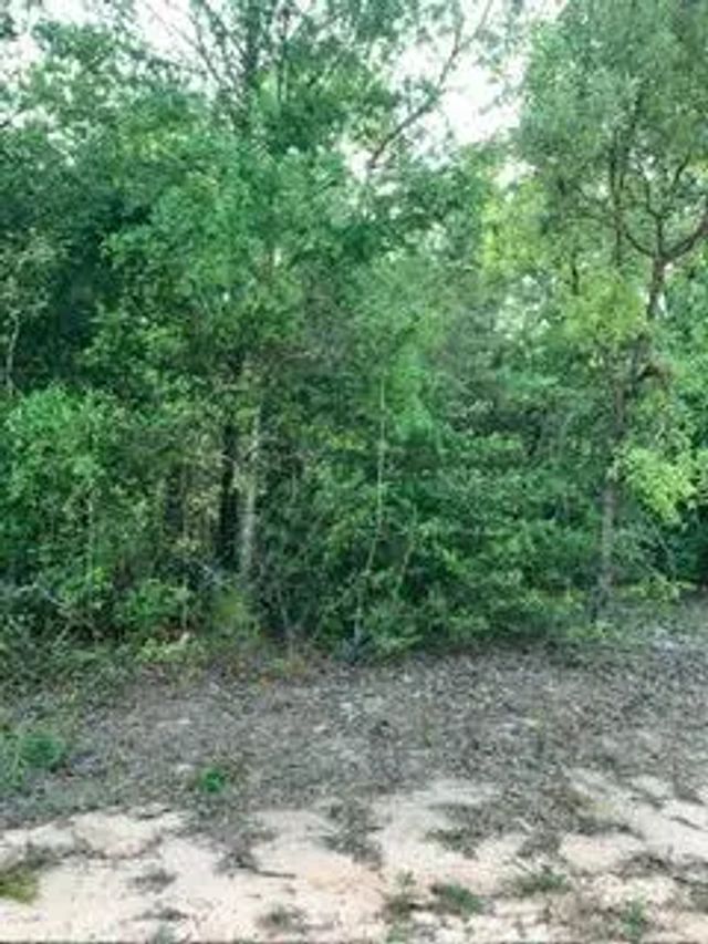 0 Gardenia Drive, Marianna