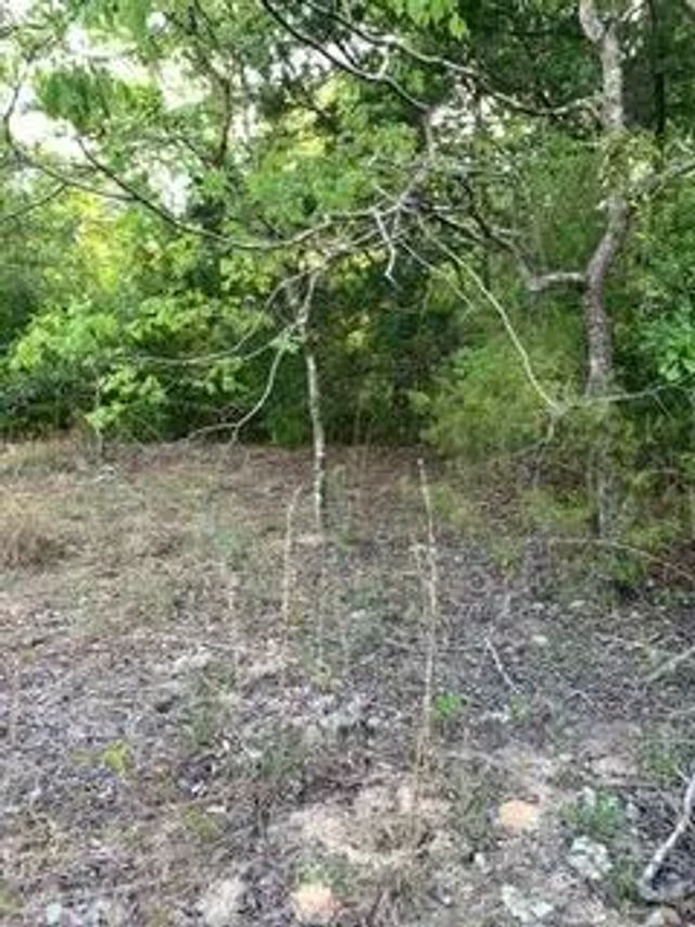 3 of 14 - 0 Gardenia Drive, Marianna, FL