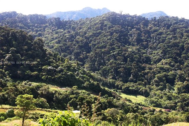 Cerro Punta, Panama, Rep Of Panama, 