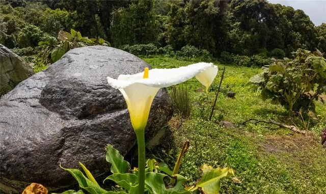 2 of 23 - Cerro Punta, Panama, Rep Of Panama, , 