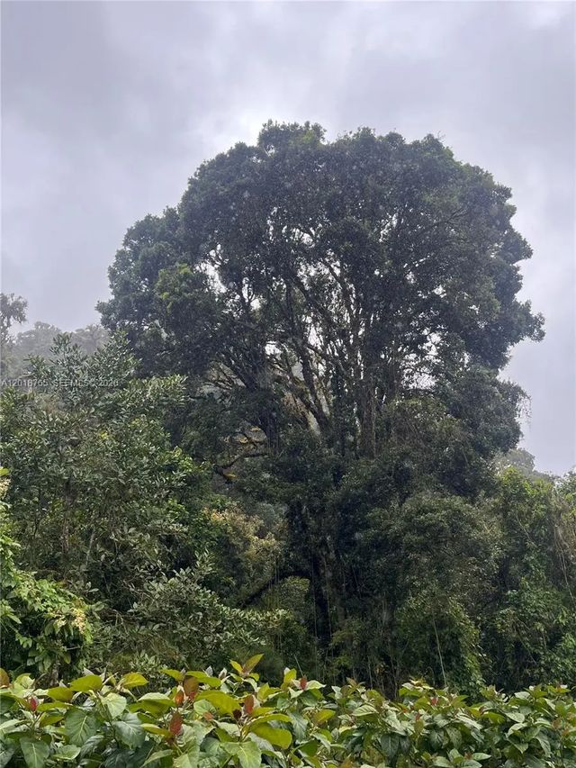 3 of 23 - Cerro Punta, Panama, Rep Of Panama, , 