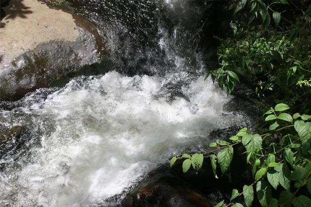 5 of 23 - Cerro Punta, Panama, Rep Of Panama, , 