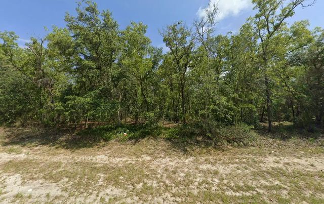 Tbd Sw 72nd Circle, Dunnellon