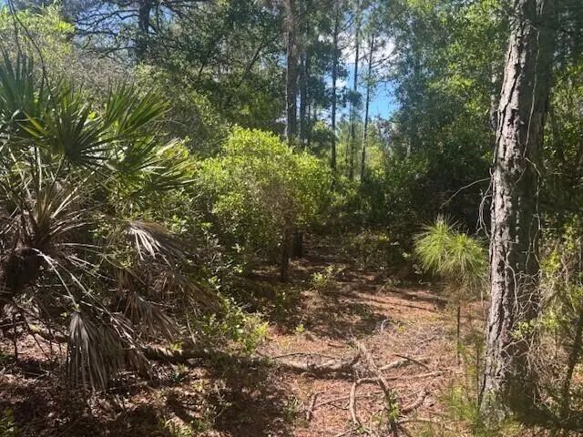 0 Golden Shores Blvd, Mims