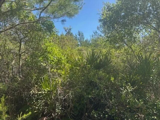 3 of 6 - 0 Golden Shores Blvd, Mims, FL