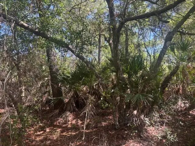 4 of 6 - 0 Golden Shores Blvd, Mims, FL
