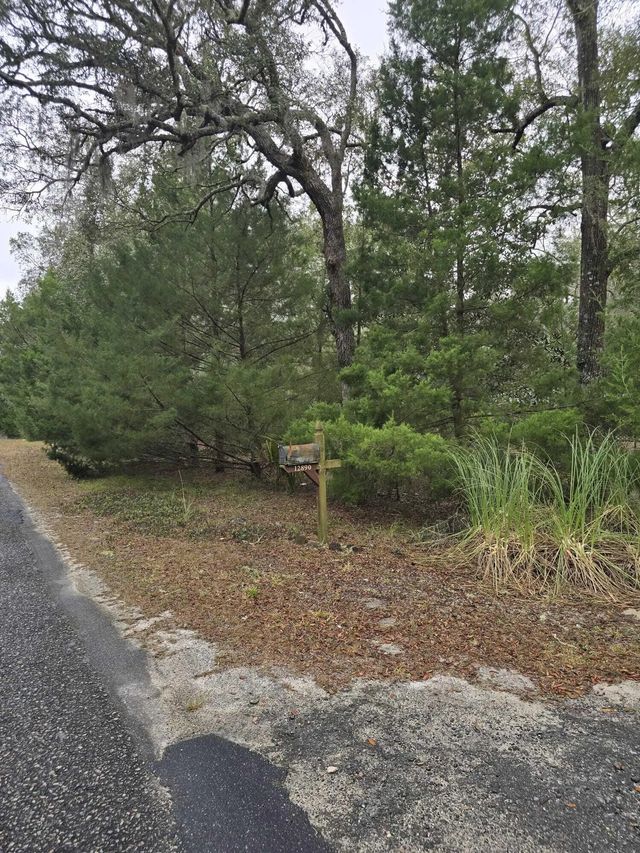 3 of 27 - 12890 Nw 90th Avenue, Chiefland, FL