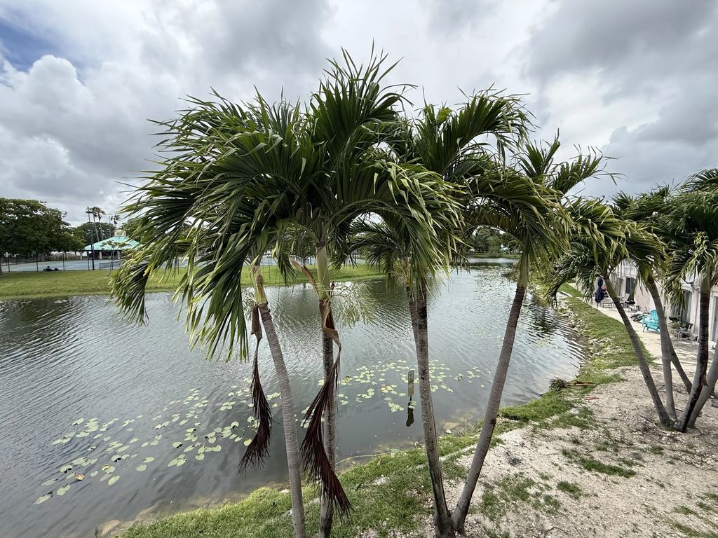 4100 Nw 16th Avenue #11, Oakland Park